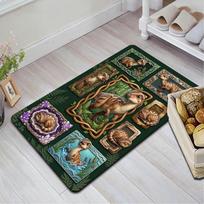 Dinosaur Collection Pattern Rug Floor Mat for Living Room or Bedroom Soft and Comfortable Carpet a Gift for Birthday and Holiday. 40x60cm( 15x23in )