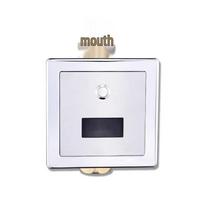 Anica Enjoy Automatic Sensor Toilet Flushing Valve for Squatting Pan