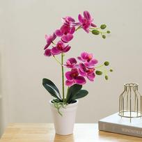 Real Touch Artificial Orchid Bonsai Potted Artificial Orchid Flower  Outdoor Indoor Decoration balta