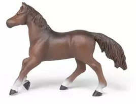 Papo Anglų arabų žirgo figūrėlė