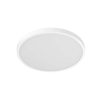 Xiaomi Smart Ceiling Light D20 | 17 W