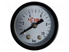 Manometer | G 1/4" | 0÷10bar | water | Enclos.mat: plastic