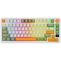 ROYAL KLUDGE M75 Slate Cyan, Cream Switch, US