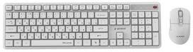 Keyboard and mouse Gembird Desktop set Silent key Pro Business wireless RU White