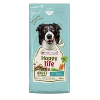 VERSELE-LAGA Happy life Salmon - dry dog food - 12,5kg