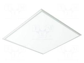 Lamp: LED light panel | 40W | 230VAC | neutral white | 120° | 4000K
