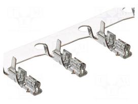 Connector: wire-board | socket | female | Mini | straight | crimped