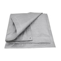 AWTOOLS AW68081 tarpaulin