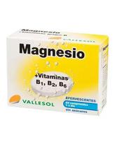 Vallesol Effervescent Magnesium B 24comp