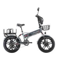 Elektrinis dviratis Skyjet GTIII PRO PLUS Grey