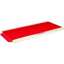 Gimnastikos kilimėlis mokykloms PVC danga su tvirtinimo dirželiais 200 x 100 x 5 cm