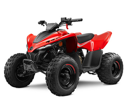 Vaikiškas keturratis CFMOTO CFORCE 110
