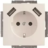 Busch-Jaeger SCHUKO kištukinis lizdas su 2x USB 20 EUCB2USB-84 (2CKA002011A6273)