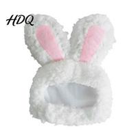 Comfortable Fleece Cat Hat Bunny Ears Hat Cute Pet Soft Plush Photo Prop with Rabbit for Cats Small Dogs Party Costume Fun Photos Skin Friendly