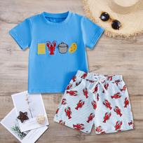 Kids Unisex Short Sleeve 2-Piece Set with Embroidery Pattern, Casual Summer Outfit 100