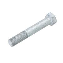 Varžtas Horsch 00360186, M20x120 mm
