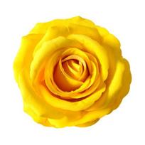 Artificial Rose Flower Heads 2.3  Fake Silk Rose Heads for Wedding Centerpieces Bridal Bouquets DIY Floral Crafts