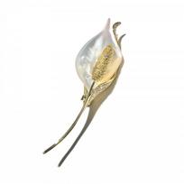 Elegant Tulip Shell Brooch With 18K Gold Plated Finish Natural Sea Mother-of-Pearl Floral Pin Women X4462-1-300 Sea Shell Tulip Brooch