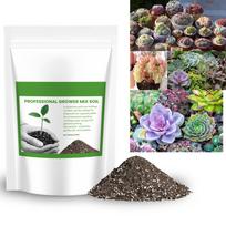 Succulent Cactus Potting Soil Mix All Purpose Garden Potting Mix For Indoor Outdoor Quick Drain Hair Spray Color Temporary (Light Green,One Size) šviesiai žalios spalvos