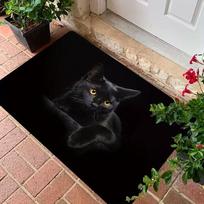 Mysterious Black Cat Pattern Doormat Entrance Rug Great For Cozy Household Entryway Porch Home Decor Patio, Balcony, Sunroom 40cm x 60cm