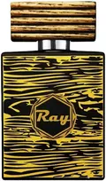 Louis Cardin Ray EDP parfumuotas vanduo vyrams, 100 ml