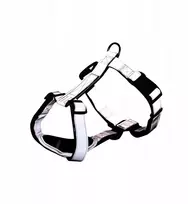 Trixie Premium Reflect, petnešos, šuniui, M–L: 55–75 cm/25 mm, atšvaitinės