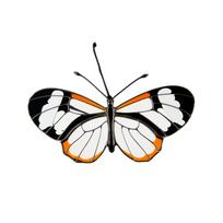 Butterfly Suncatcher, Colorful Acrylic Window Decor, Mother's Day Gift one size