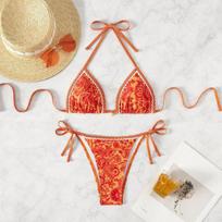 European & American Print Sexy Tie-up Bikini Set (2026) XS