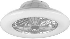 Lubinis šviestuvas REALITY Lubų ventiliatorius su lempa R62522987, 40 W, 1 vnt.
