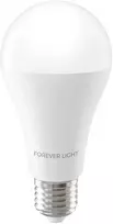 „Telforceone Forever Light“ LED lemputė E27 A65 17W 2100lm 3000K E klasė