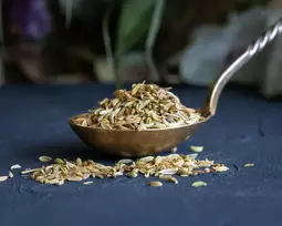 Ekologiškos pankolių sėklos (Fennel seed) - 50 g