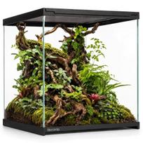 Stiklinis terariumas, Terrario Frevo Clear, skaidrus, 30 × 30 × 30 cm