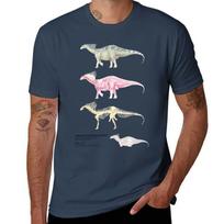 Amargasaurus Cazaui Factsheet TShirt Breathable Gym Short Sleeve TShirt S