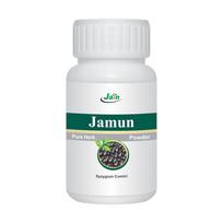 Jain Jamun Seed Powder 100% Pure Natural Black Plum Powder For Daily Wellness Teeth And Gum Care 100 g Pack Of 1