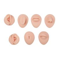 Soft Silicone Ear Nose Mouth Model Tattoo Practice Body Jewelry Display Piercing Tool  Kit Beauty Accessories Make up Tools