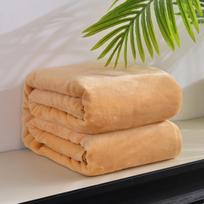Solid Color Bedspread Blanket 200x230cm High Density Super Soft Warm Flannel Plush Bed Covers for The Sofa/Bed/Car 100cm*120cm