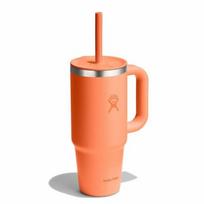 Hydro Flask 710 ml kelioninis termo puodelis su šiaudeliu ir rankenėle