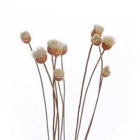 Fireless Aroma For Aromatherapy Aromatic Incense Diffuser Sticks Dried Flowers Artificial Flower 10 pcs/set