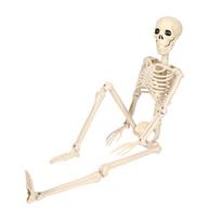 Gyvenimo dydžio skeletas, lankstomas, viso kūno, Helovino dekoracija su judamais sąnariais vakarėliui, šiurpinantys namo su vaiduokliais rekvizitai beige