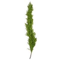 Artificial Christmas Garland Swag, 6ft/ Faux , Realistic , Holiday Party Yard Patio Decor, Indoor Outdoor One Size