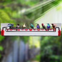 Hummingbird Feeder For Outdoors Bird Feeder Tube With Flower Feeding Ports Leak-Proof Pet Food Container Food Dispenser For United States