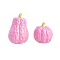 2 Pack Halloween Pumpkin Resin Figurines, Fall Decor for Home Living Room Shelf Display One Size