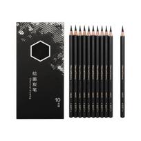 10Pieces Professional Charcoal Pencils Drawing Set Wood Sketch Pencils For Artists Beginner Drawing Sketching Shading