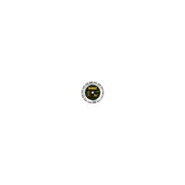 DT3773 DeWALT betono pjovimo diskas 230 mm
