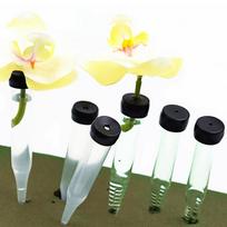 50 vnt. Gėlių stiebų laikiklis-vamzdelis Šviežumo išlaikymo augalų maistinių medžiagų vamzdelis Konteineris 50PCS