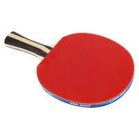 DHS H3002 3-Star Table Tennis Racket