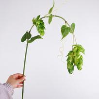 Real Touch Artificial Hops Branch 3 Heads Flexible Faux Hops Vine Natural Appearance Tendrils Hops Plant Stem Outdoor Garden