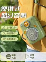 Divoom Beetle Retro Mini Portable Bluetooth Speaker with FM Radio CN plug (adapter included)