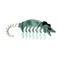 Creative Wide-Tooth Head Comb Acrylic Cartoon Animal Opossum Hairbrush  for Women