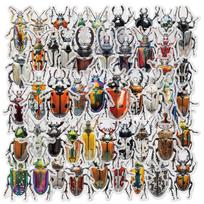 10/30/50pcs Transparent Vintage Insect Cartoon Stickers Pack Waterproof DIY Stationery Laptop Phone Kids Education Decals Toys